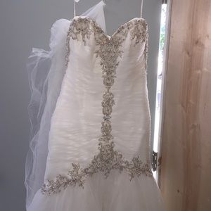 Maggie Sotero Sample size 12